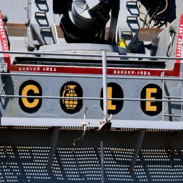 Gallery: Austin Dillon