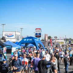 Gallery: Experience The Fun