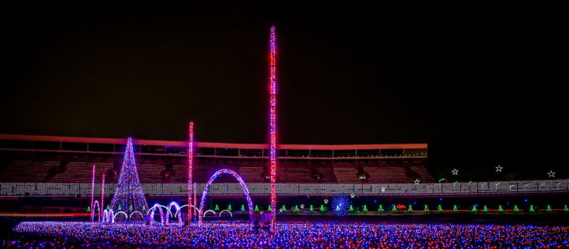 Charlotte ryan movie night