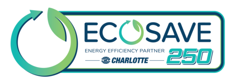 ecosave 250