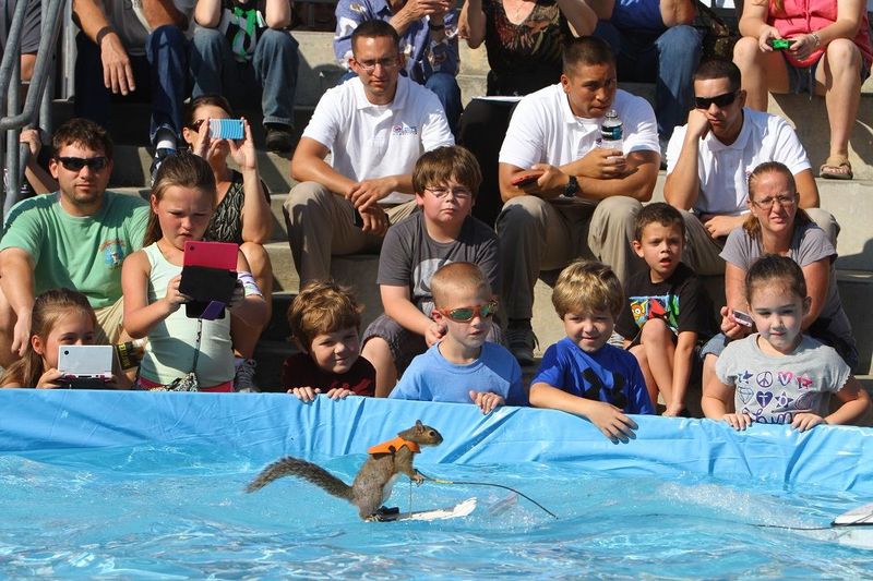 Twiggy the water-skiing squirrel will delight audiences with fun and informative shows on Friday and Saturday of the Pennzoil AutoFair presented by Advance Auto Parts. 