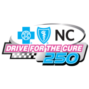 Drive for the Cure 250 Logo