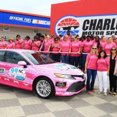 Gallery: Paint Pit Wall Pink