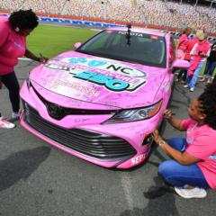 Gallery: Paint Pit Wall Pink