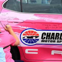 Gallery: Paint Pit Wall Pink