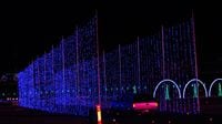 A general view of the lights and during opening night of Charlotte Motor Speedway's seventh annual Speedway Christmas.