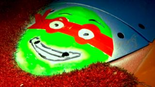 Vote For Your Favorite Turtle Design!