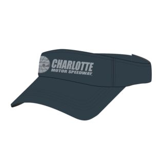 CMS LOGO VISOR