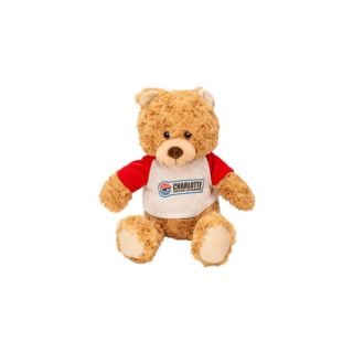 CMS 9" Plush Teddy