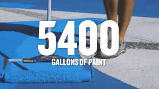 ROVAL™ Facts: Paint